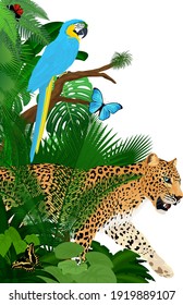 Vector jungle rainforest foliage vertical border illustration with blue macaw, jaguar and butterflies