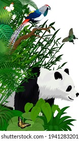 Vector jungle rainforest foliage vertical border illustration with giant panda bear, butterflies and diamond lady amherst's pheasant