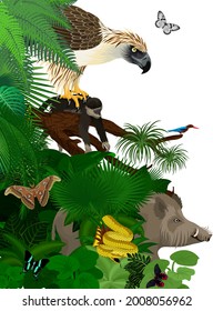 Vector jungle rainforest foliage vertical border illustration with  Philippines jungle forest with white-throated kingfisher, giant atlas moth, bearded pig and philippine eagle with monkey