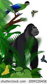 Vector jungle rainforest foliage vertical border illustration with male gorilla, Hartlaub's turaco and broadly green-banded swallowtail butterfly 