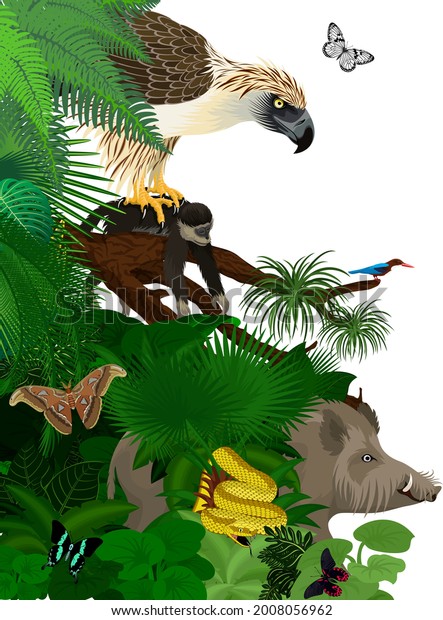 Vector jungle rainforest foliage vertical border\
illustration with  Philippines jungle forest with white-throated\
kingfisher, giant atlas moth, bearded pig and philippine eagle with\
monkey