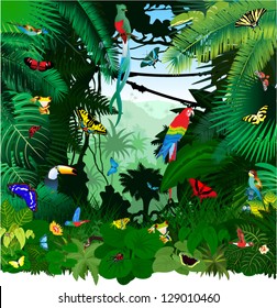 Vector Jungle Rainforest with Frog, Toucan, quetzal, humming-birds, butterflies, Ara and Green Snake