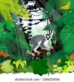 vector jungle rainforest illustration with Madagascar lemur, Madagascan sunset moth and African moon moth	