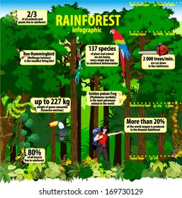 Vector Jungle Rainforest Travel infographics with Frog, Toucan, butterflies, quetzal, humming-birds, Ara, anaconda, saw and girl