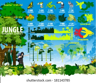 Vector Jungle Rainforest Travel infographics elements with Frog, Toucan, butterflies, quetzal, humming-birds, Ara, anaconda, saw and girl