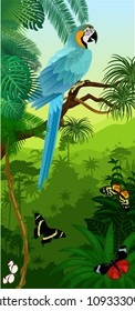 Vector Jungle rainforest vertical baner with parrot Blue and yellow Macaw and butterflies