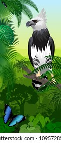 Vector Jungle rainforest vertical baner with harpy eagle and morpho butterflies