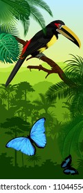 Vector Jungle rainforest vertical baner with pale-mandibled aracari toucanet and morpho butterflies