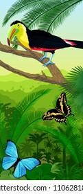 Vector Jungle rainforest vertical baner with rainbow-billed toucan and morpho butterflies