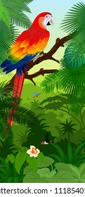 Vector Jungle rainforest vertical baner with parrot red scarlet macaw ara and hummingbirds