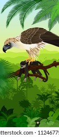 Vector Jungle rainforest vertical baner with philippine Eagle with monkey