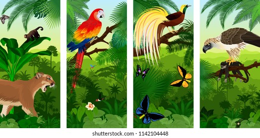 Vector Jungle rainforest vertical baner with  Lesser Bird of Paradisea,puma cougart,  parrot red scarlet macaw arae , hummingbirds, birdwing butterflies and  philippine Eagle with monkey