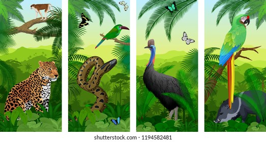 Vector Jungle rainforest vertical baner with parrot green Military Macaw, wild pig peccary, cassowary,  jaguar or leopard, ape monkey, Green anaconda, Crimson-rumped toucanet and tropical butterflies