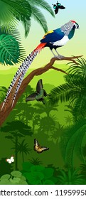 Vector Jungle rainforest vertical baner with diamond lady amherst's pheasant and butterflies