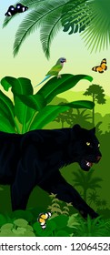 Vector Jungle rainforest vertical baner with jaguar or leopard black panther, butterflies and Red-Breasted Parakeet parrot