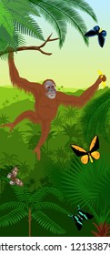 Vector Jungle rainforest vertical baner with orangutan and butterflies