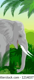 Vector Jungle rainforest vertical baner with elephant
