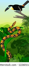 Vector Jungle rainforest vertical baner with toucan and python boa constrictor