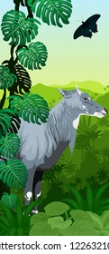 Vector Jungle rainforest vertical baner with male nilgai - blue bull and butterfly