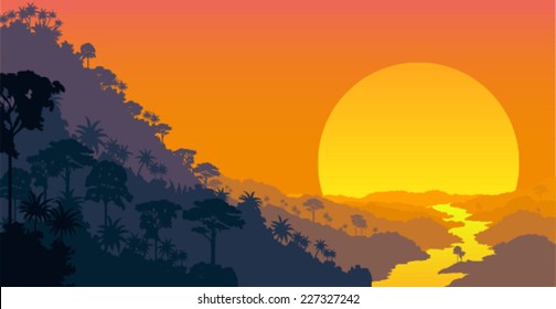 vector Jungle at sunset background illustration