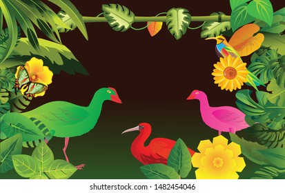 vector jungle theme illustration with birds, exotic plants. Bird in  background, Tropical floral frame with black sky. Design template