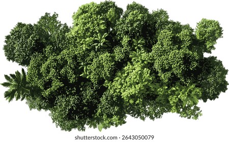 Vetor árvores da selva, copa exuberante de cima, fundo transparente, floresta tropical verde, vista aérea, vida selvagem, ilustração da natureza, eco amigável, conceito ambiental