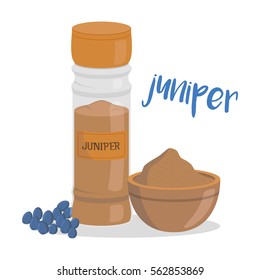 Vector juniper illustration isolated in cartoon style. Herbs and Species Series