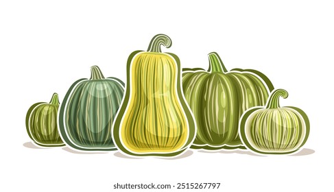 Vector Kabocha Logo, decorative horizontal poster with cartoon design green juicy kabocha composition with dry stem, placard with group of many different green kabocha on white background