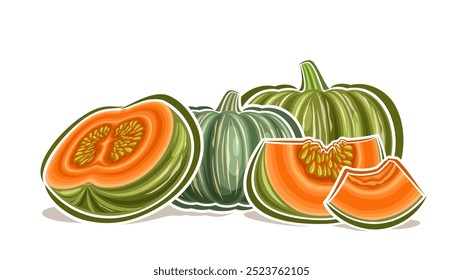 Vector Kabocha Logo, decorative horizontal poster with cartoon design green juicy kabocha composition with orange flesh, placard with group of different chopped and whole kabocha on white background