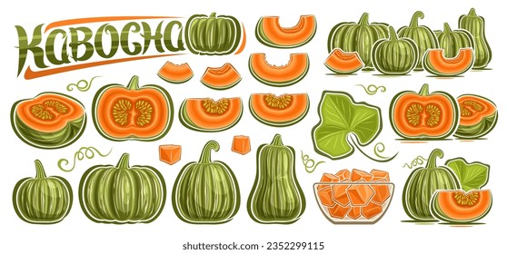 Vector Kabocha Set, big collection of illustration green pumpkin vegan still life compositions, group of cut out kabocha with raw seeds, chopped squash in glass bowl, text kabocha on white background