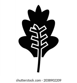  Vector Kale Glyph Icon Design
