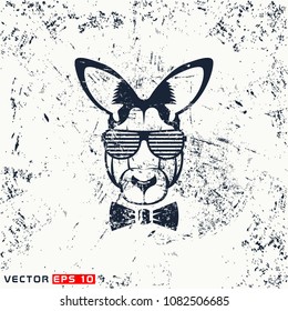 Vector kangaroo head, hipster face on grunge background