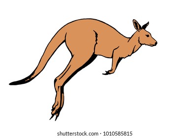 Vector kangaroo jumping,graphical illustration for tattoo,logo and printing