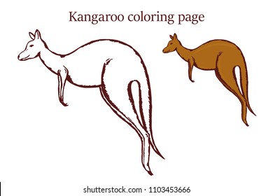 Vector kangaroo. Outlined for coloring page. 