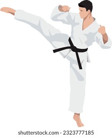 Vector karate kung fu master ilustración