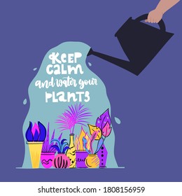 El vector mantiene la calma y el agua las letras de sus plantas. El agua puede hacer agua con coloridas flores de casa. Perfecto para las tarjetas visuales del mercado de las flores de los afiches textiles, anuncios de portada de pegatinas.