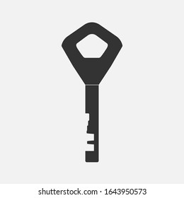 Vector Key icon on white background