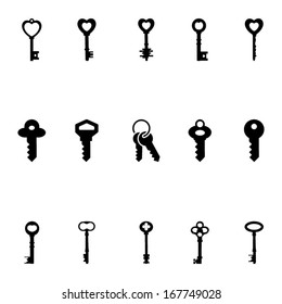 Vector Key Icon Set