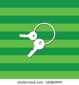 vector key symbol on green background 