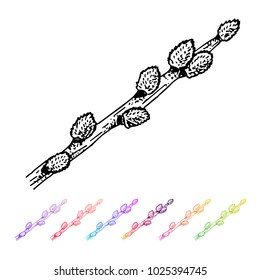 Vector Kidney bud verba black pattern in the plant design. Hand painted spring garden flora. Black sletch isolated on whie background with gradient colorful elements. Trunks and twigs for your design