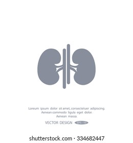 Vector Kidney Icon.