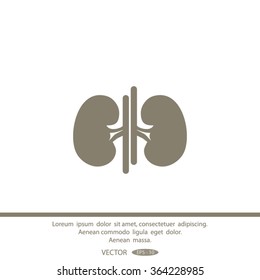 Vector kidney icon.