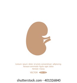 Vector kidney icon.