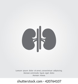 Vector kidney icon.