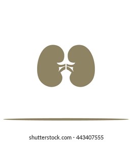 Vector kidney icon.
