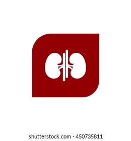 Vector kidney icon.