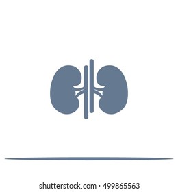 Vector kidney icon.