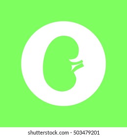 Vector kidney icon.