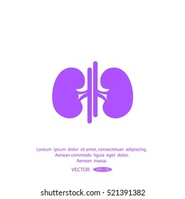 Vector Kidney Icon.