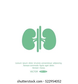 Vector kidney icon.